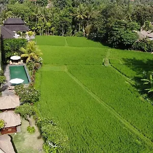 Byasa *** Ubud (Bali)